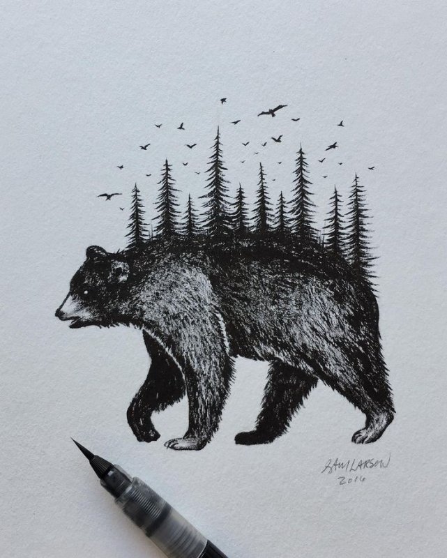 Медведь Татуировка эскиз