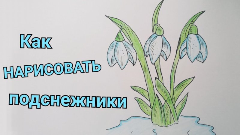 Рисование первых весенних цветов