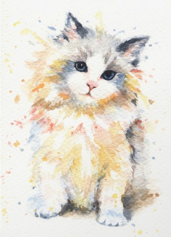 Кот акварелью