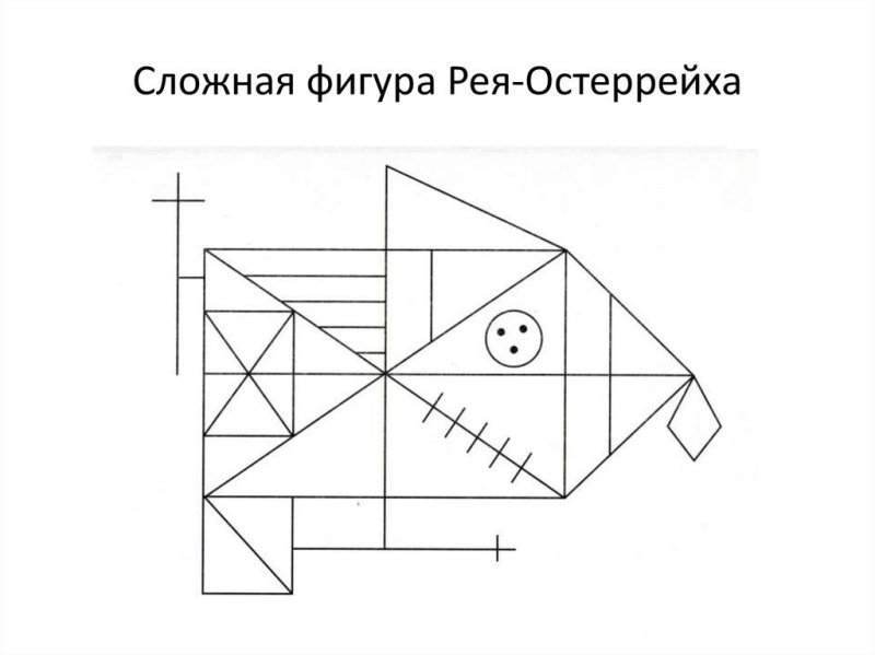 Фигуры Тейлора и Рея Остеррица