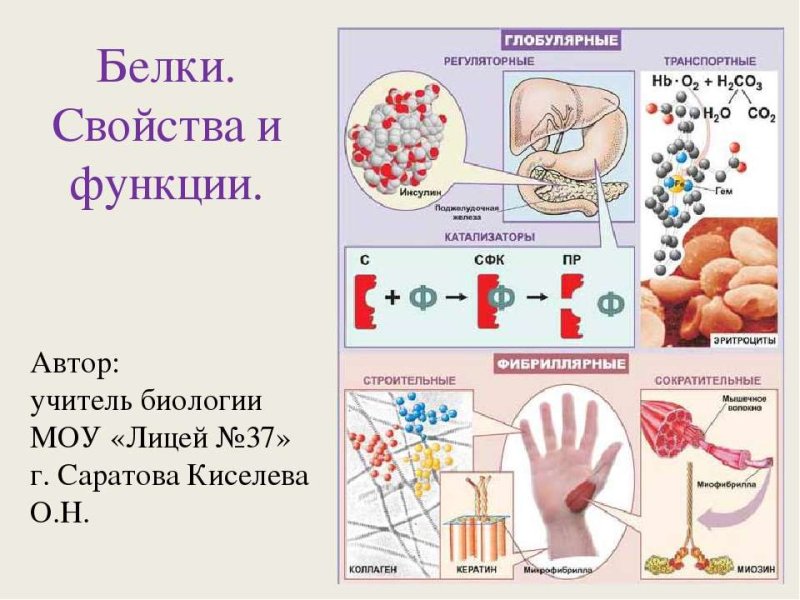 Биологические свойства белков