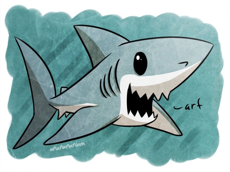 Красивая акула рисунок