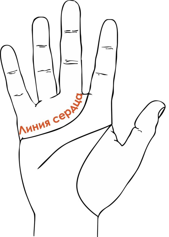 Хиромантия линия сердца на руке