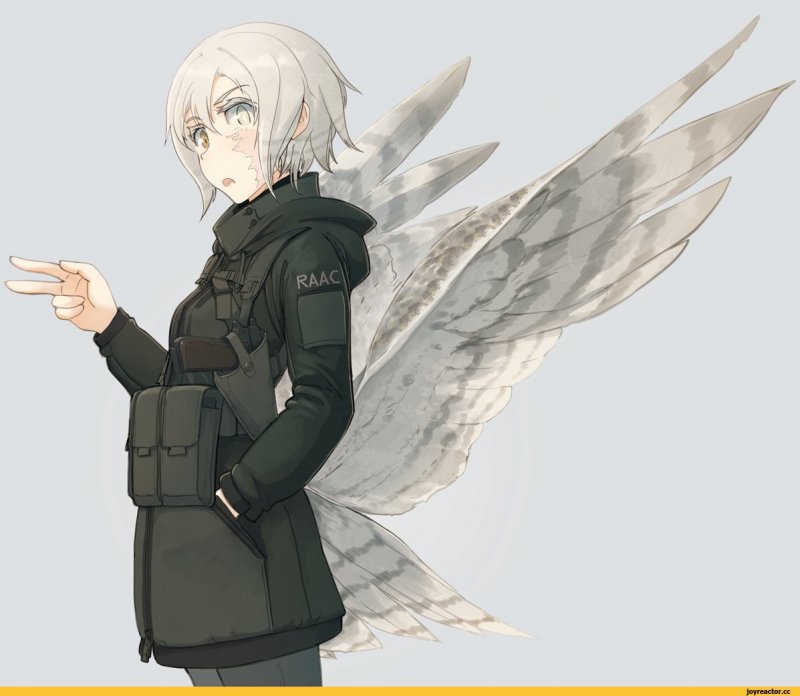 Winged Fusiliers арты