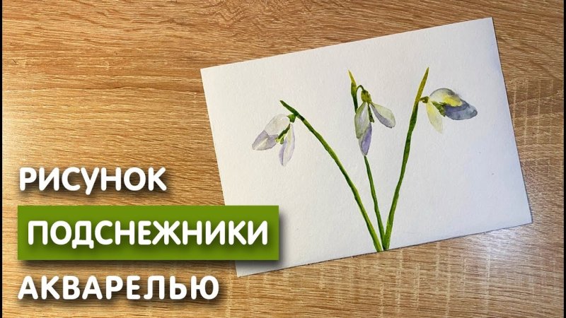 Как нарисовать подснежники акварелью поэтапно для начинающих