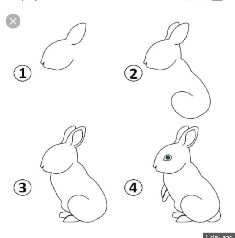 рисование зайца в старшей группе поэтапно