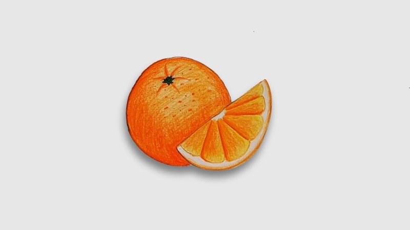 Апельсин рисунок