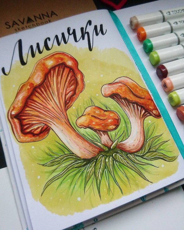 Грибы маркерами для скетчинга
