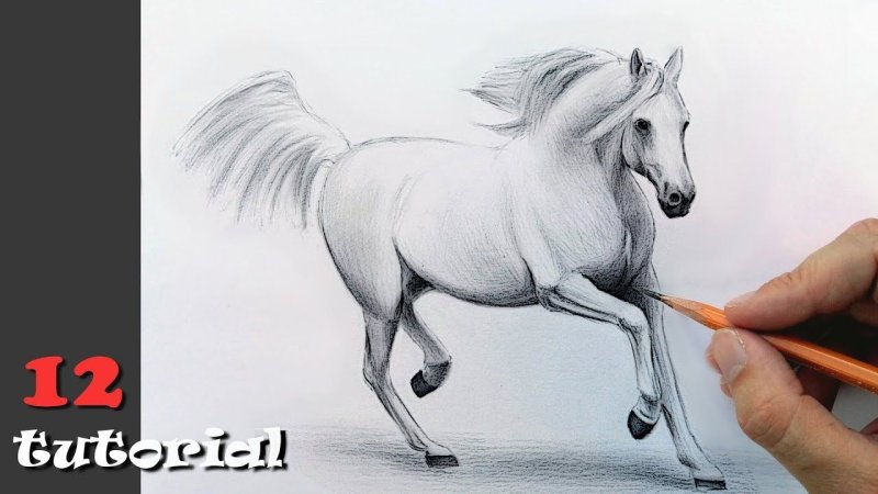 Лошадь рисунок карандашом