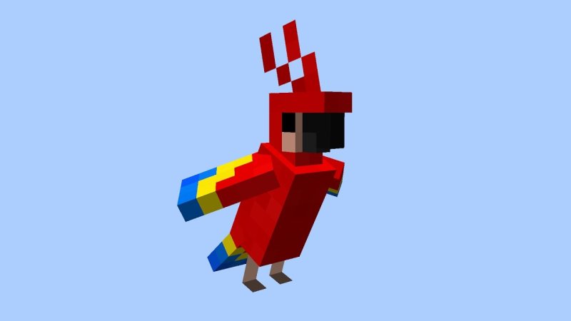 майнкрафт попугай