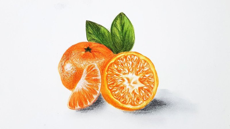Мандарин рисунок