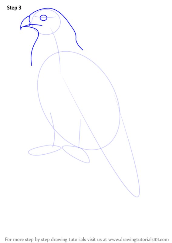 Коршун рисунок легкий