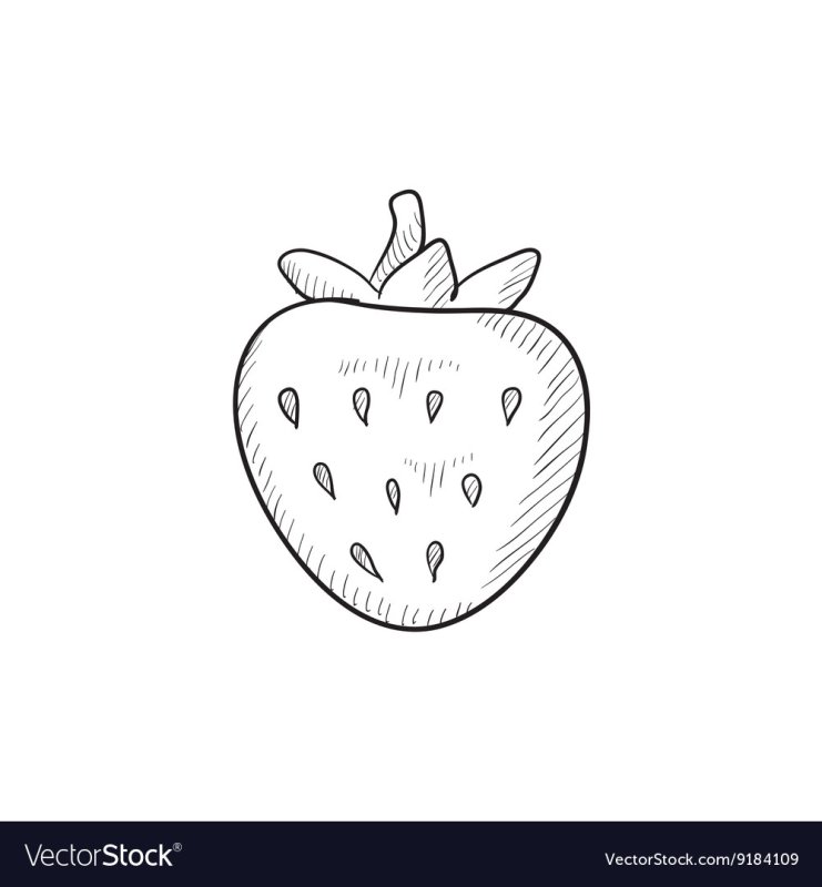 Клубника рисунок для срисовки