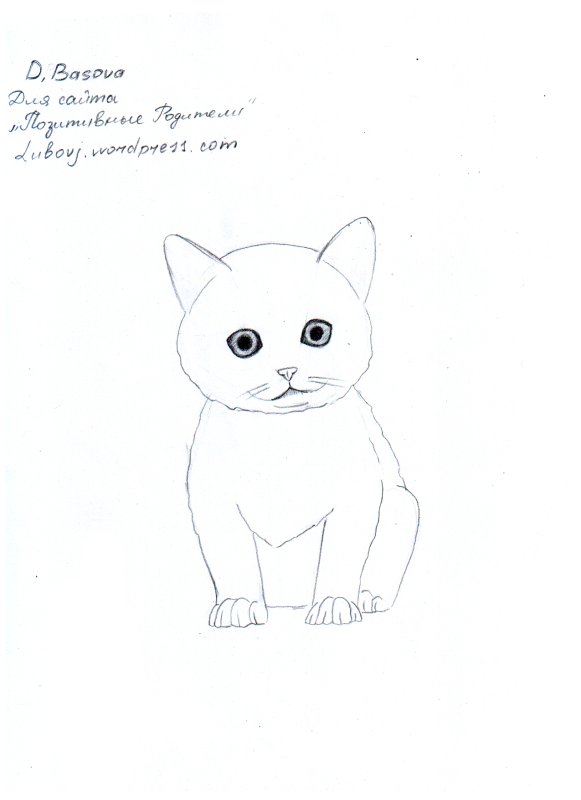 Рисунки котов для срисовки
