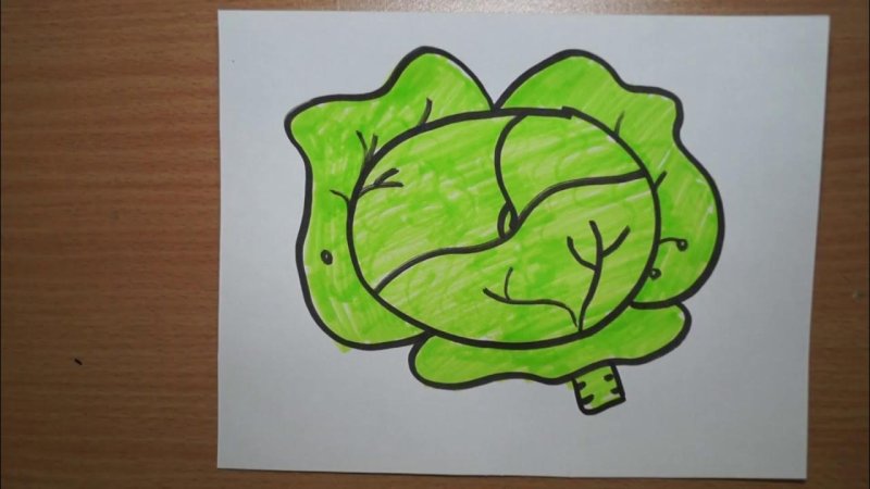 Капуста карандашом для детей