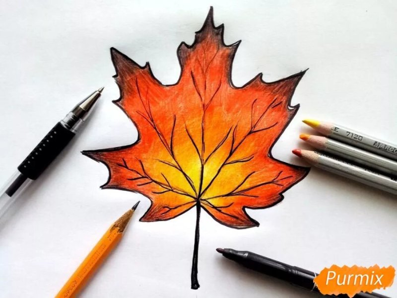 Кленовый лист рисунок