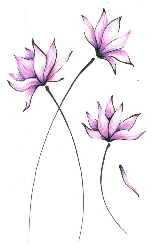 Рисунки цветов для срисовки