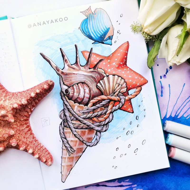 Скетчинг морские раковины