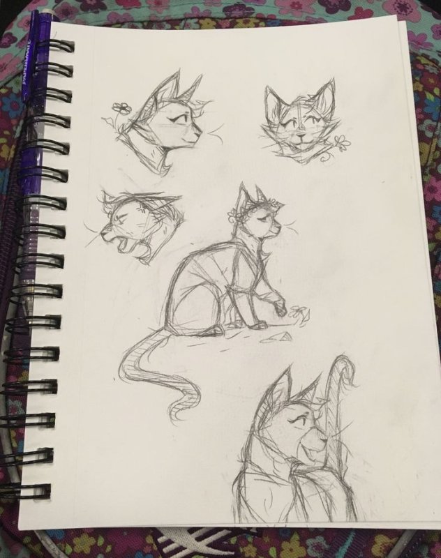 Кот скетч