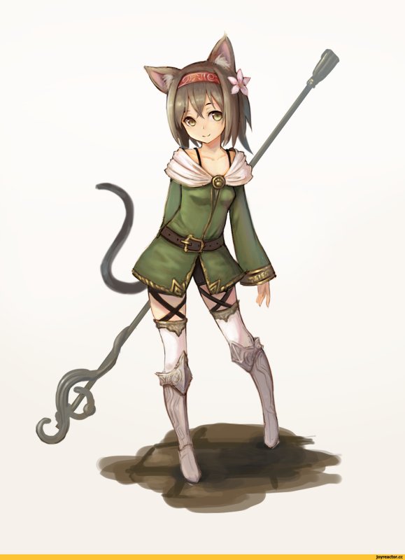 Зверолюди кошки аниме