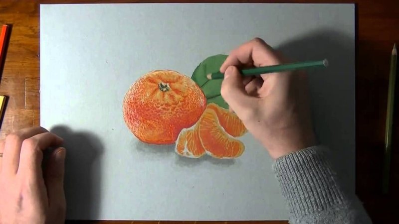 Мандарин цветными карандашами