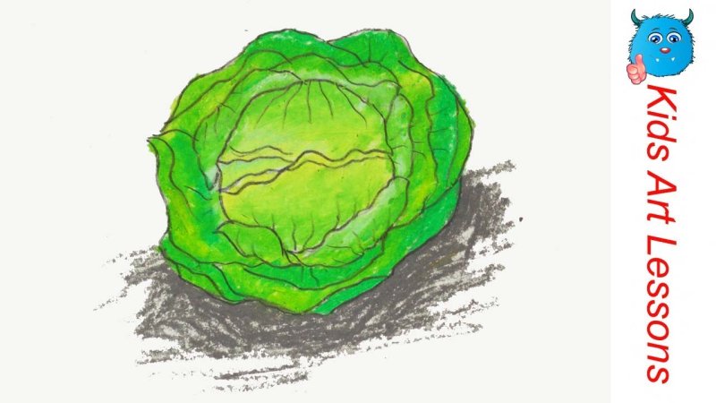 Рисунок капусты для детей легко