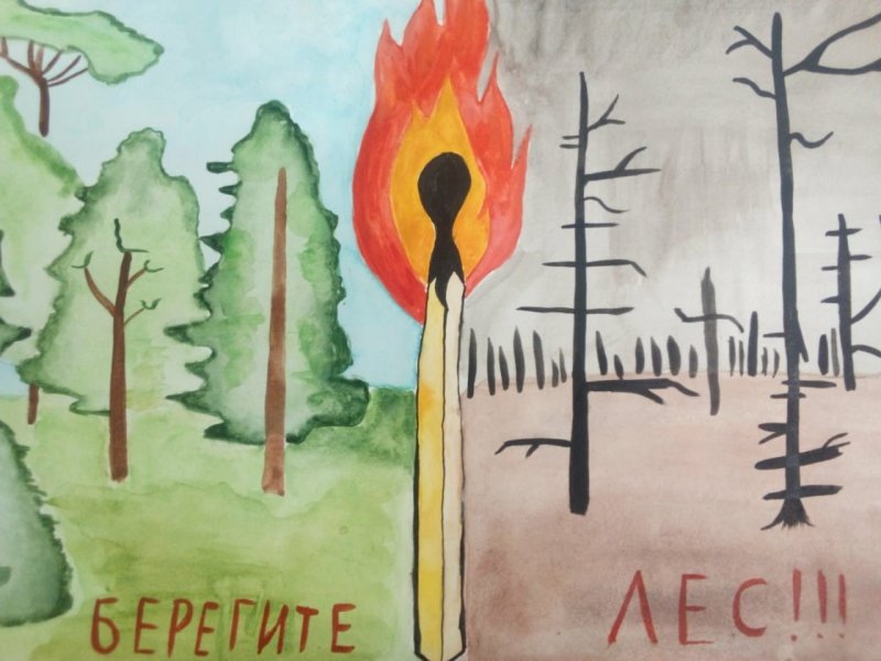 Рисунок на тему защита леса