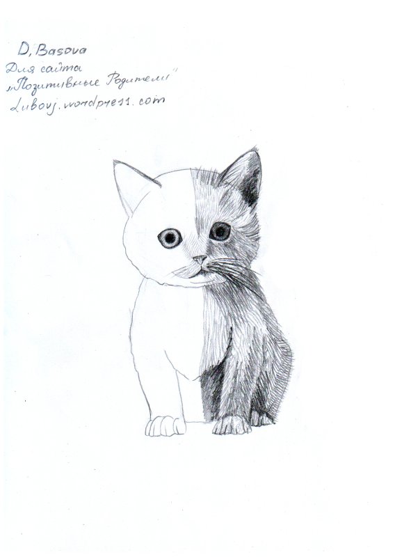 Рисунки котов для срисовки