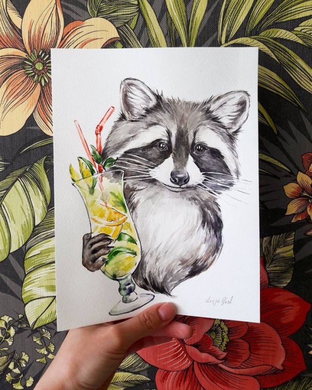 енот цветными карандашами