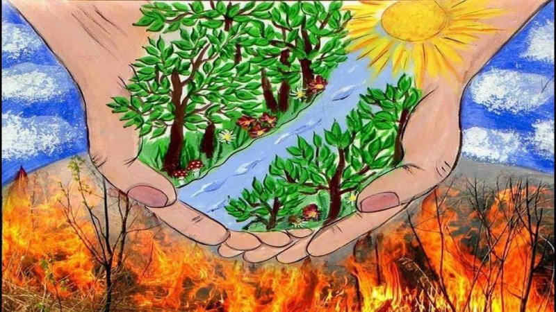 Защита леса рисунки