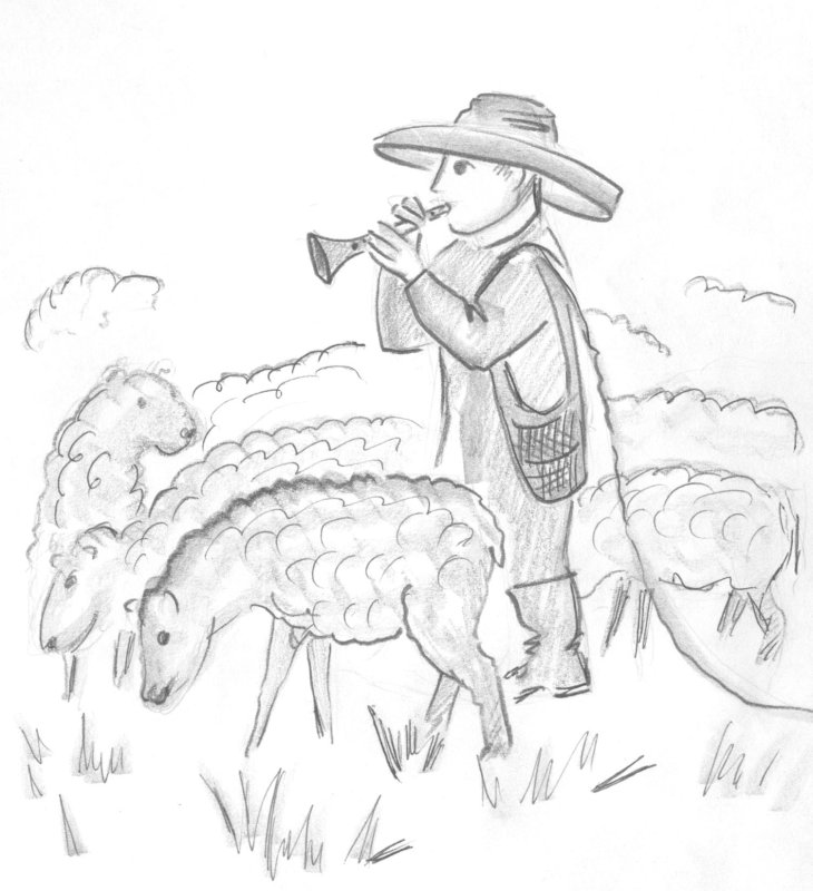 Чабан рисунок
