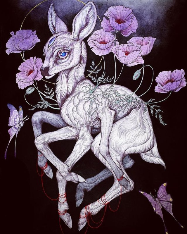 Каитлин Хакет