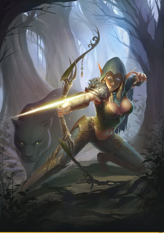 D&D Лесная эльфийка разбойница