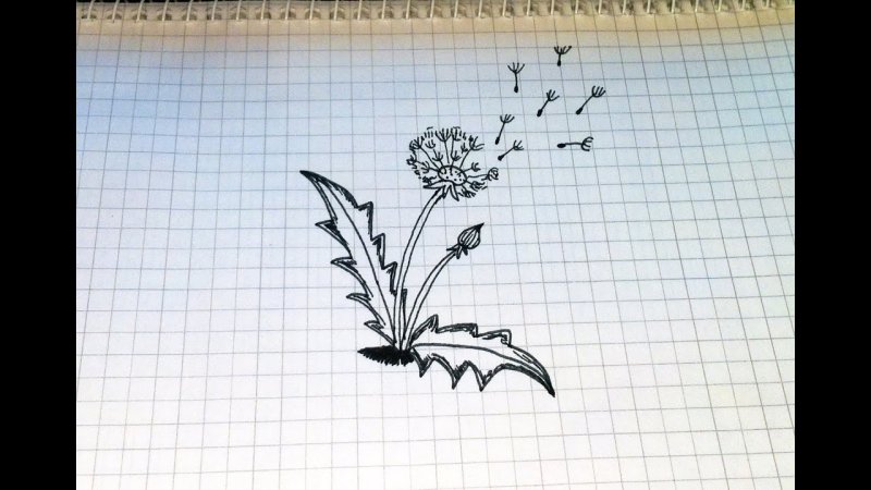 Рисунки ручкой