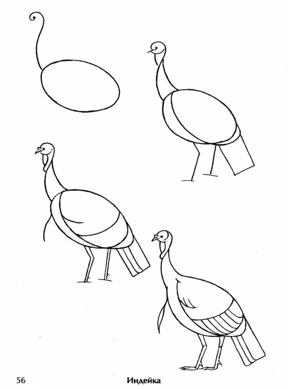 Нарисовать индюка