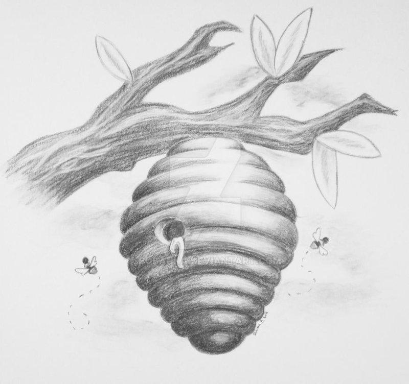 Рисование на ульях