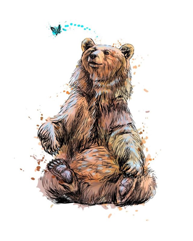 Медведь рисунок акварелью