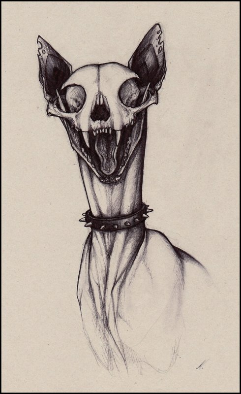 Странные рисунки
