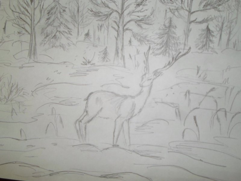 Рисунок леса для срисовки