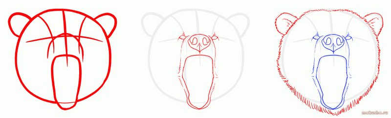 Медведь рисунок карандашом легкий