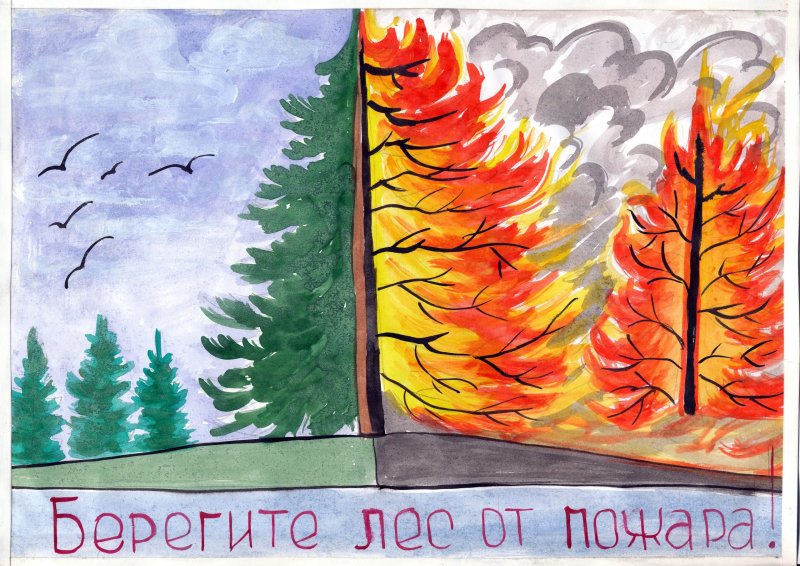 Плакат на тему Лесные пожары