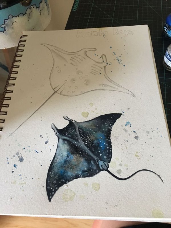 Скат для рисования