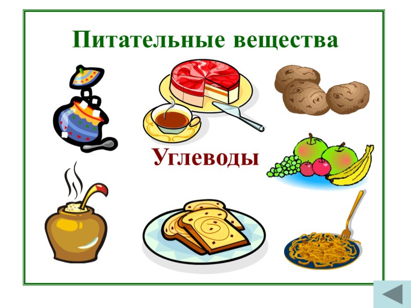 Пища и питательные вещества