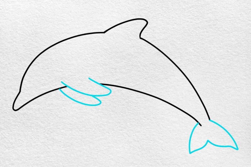 Дельфин рисунок карандашом для срисовки