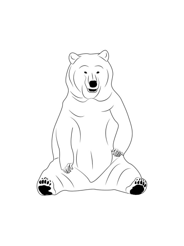Медведь рисунок карандашом