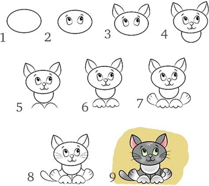 Схема рисования кошки для дошкольников