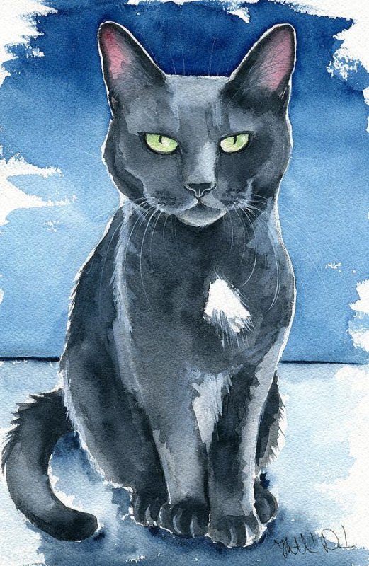 Кош рисунок кошка