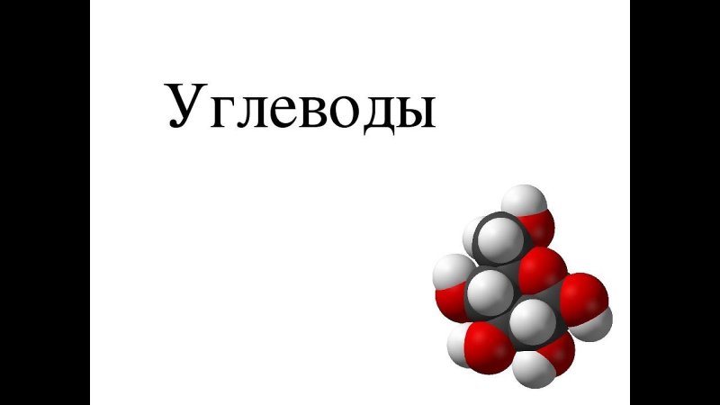 Углеводы биология