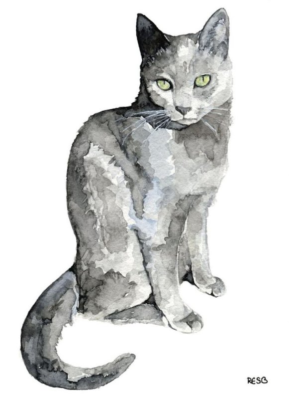 Кошка рисунок акварелью
