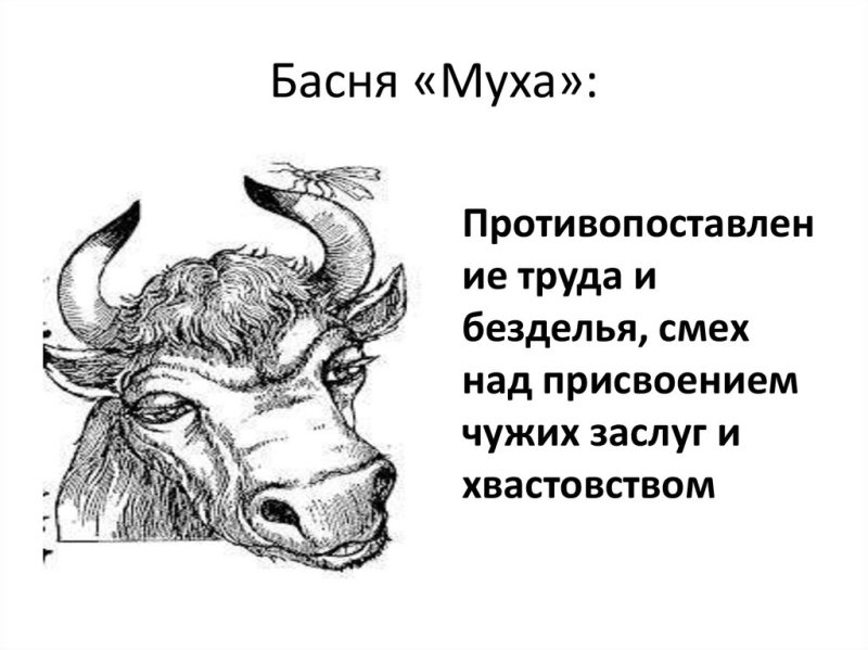 Дмитрий басня Муха